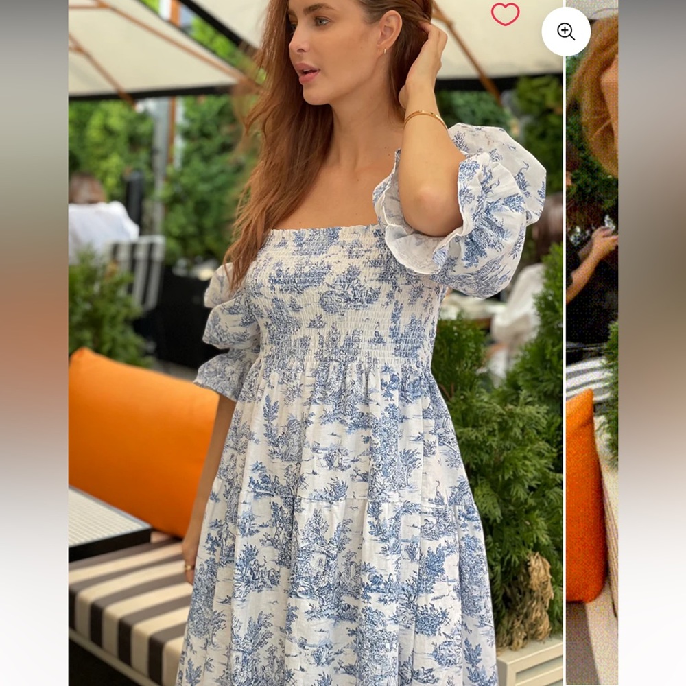 Beautiful Blue Toile Dress